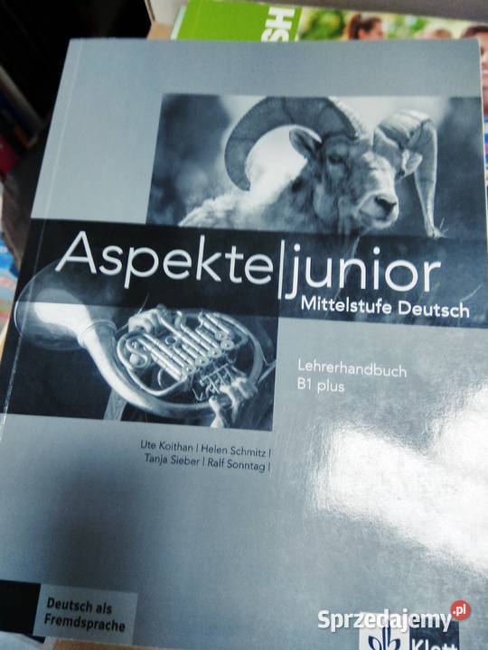 Aspekte junior ćwicze językowe niemiecki