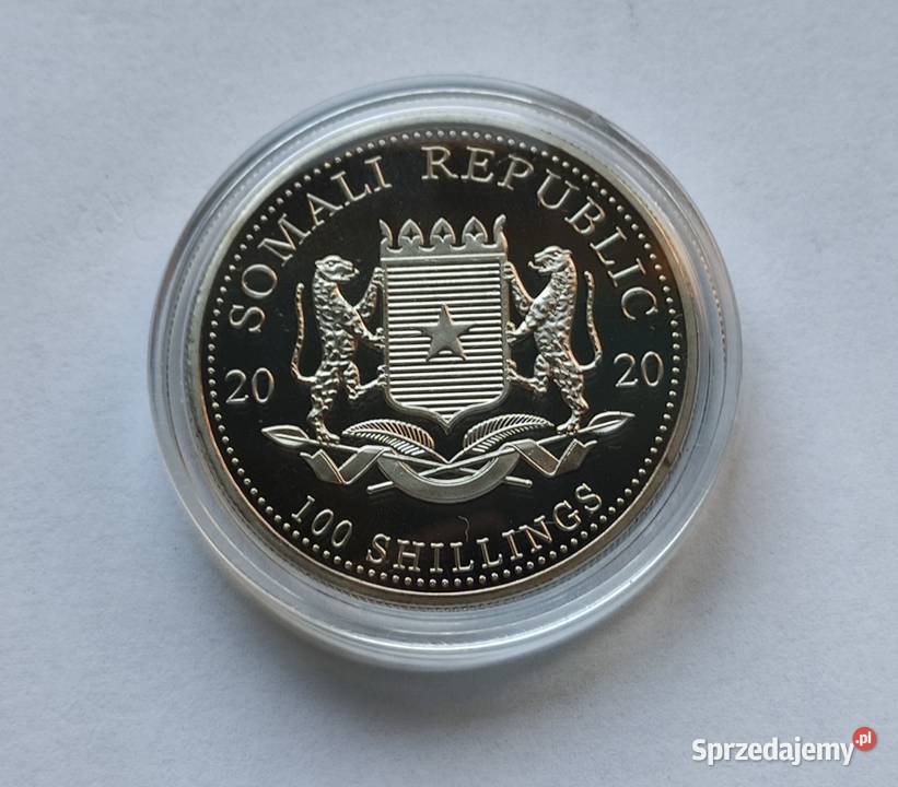 MONETA SOMALIA 100 SHILLINGS 2020 SŁOŃ Pruszków