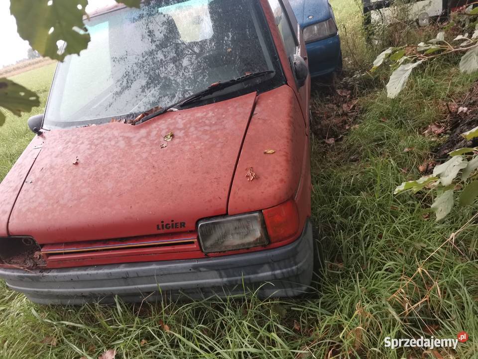 x 2 ligier optima microcar benzyna na czesci Pozostałe Szczurowa sprzedam