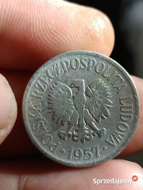 Sprzedam 50 gr 1957 r ncm lubelskie Chełm
