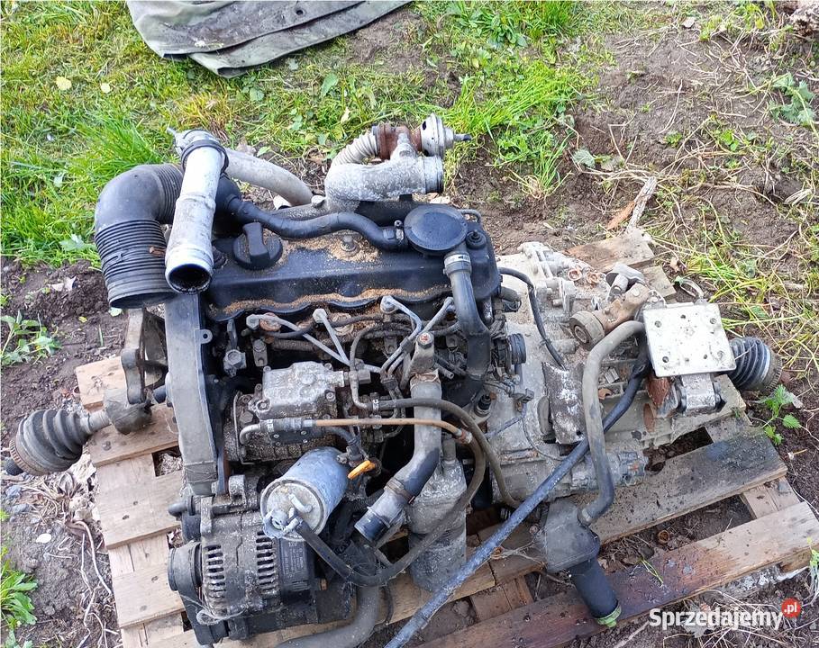 Silnik 19 90 Seat VW Audi Ford Galaxy Sharan A4 Przybyłów