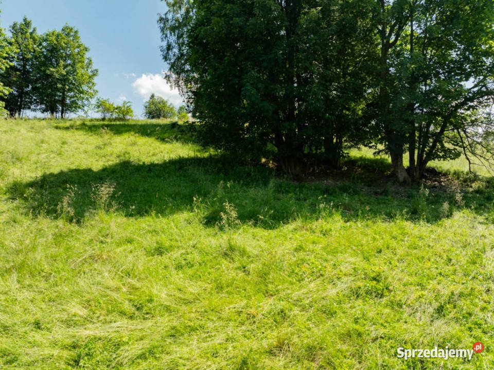 Pakiet działek w Brzegach jako lokata kapitału 2527m2 Brzegi