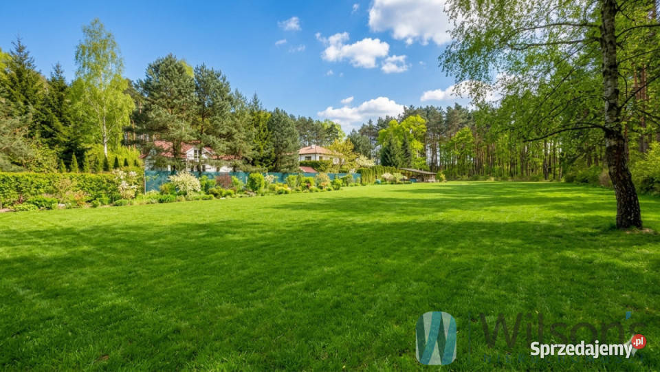Sprzedaż działki Wiązowna 9130m2 240m sprzedam