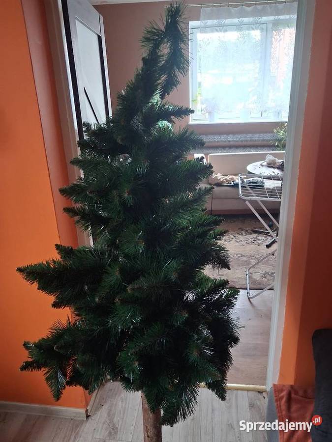 Choinka na pieńku Dąbrowa Górnicza