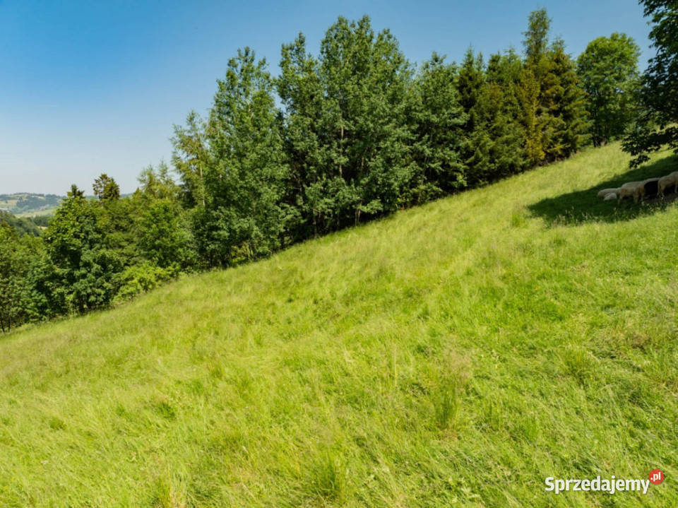 Pakiet działek w Brzegach jako lokata kapitału 2527m2 Brzegi