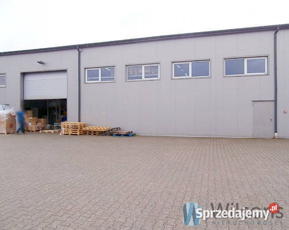 Lokal Dawidy 550m2 Ilość pomieszczeń 2 sprzedam