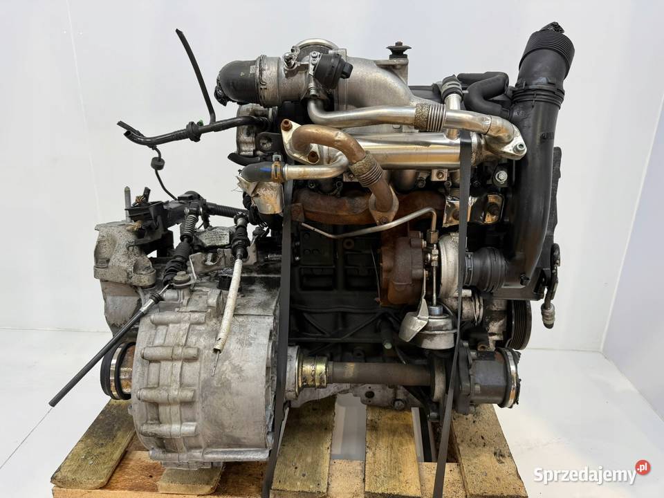 SILNIK ASZ VW Golf IV Bora Audi A3 8L Octavia osobowe Chełm