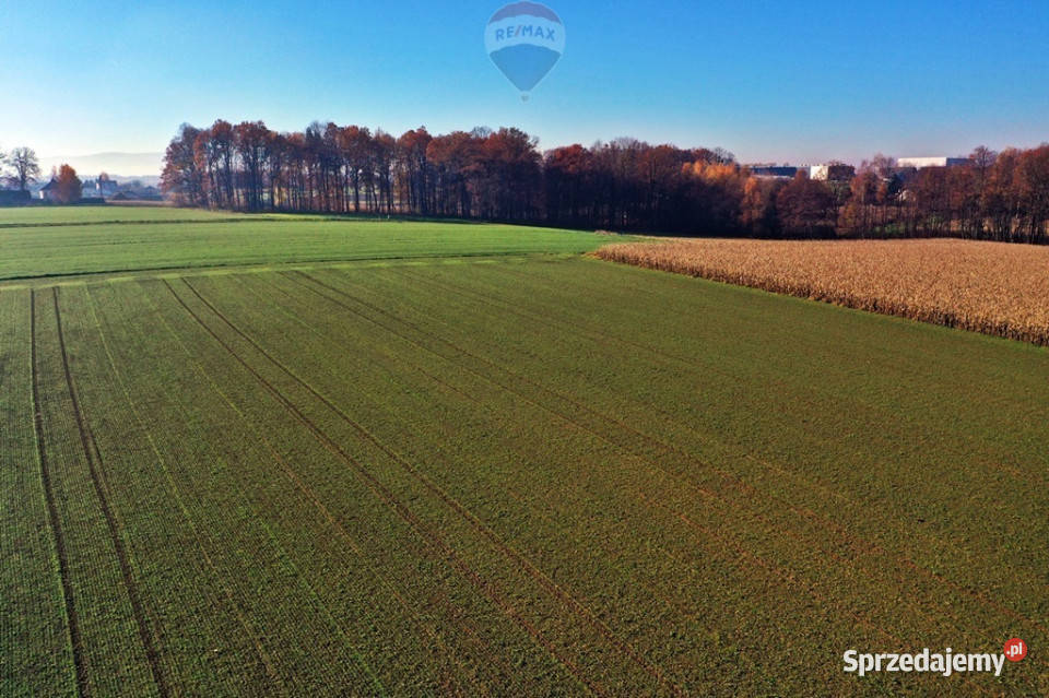 Działka rolna Witkowice Osiek