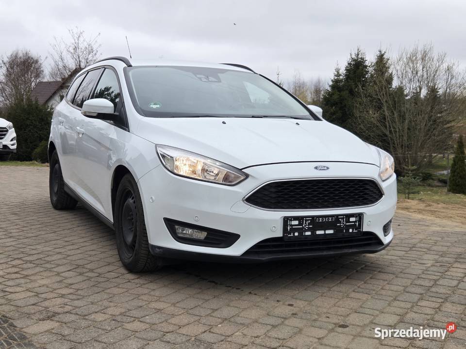 Ford Focus mk3 ogranicznik prędkości Miechucino