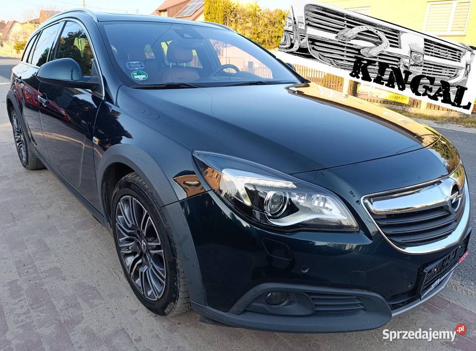 Opel Insignia Cross Country 20 benzyna 250 2017 Lgota-Mokrzesz