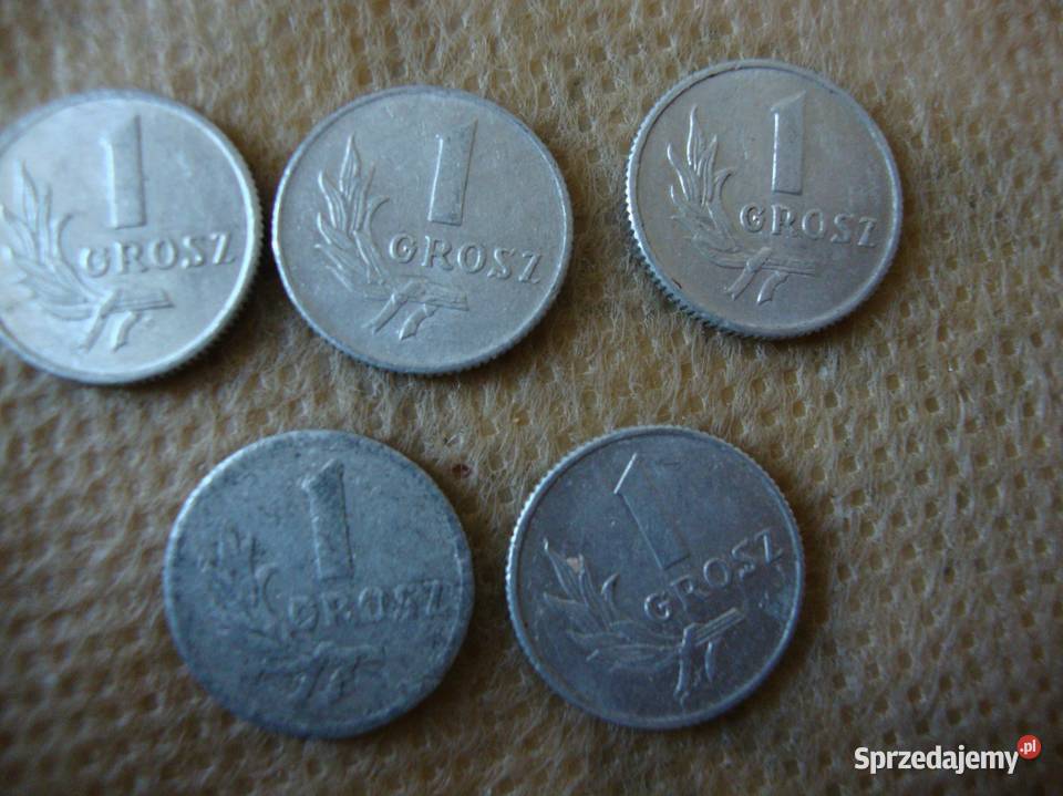 moneta 1 gr; 1949