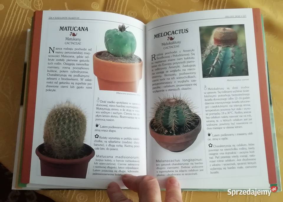 Pielęgnacja i uprawa roślin pokojowych Rok wydania 2006 Radom