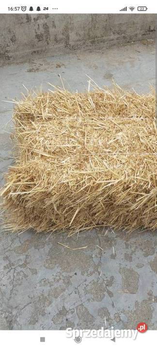 Sprzedam słomę kostki Trawy, słoma łódzkie Wojnowice