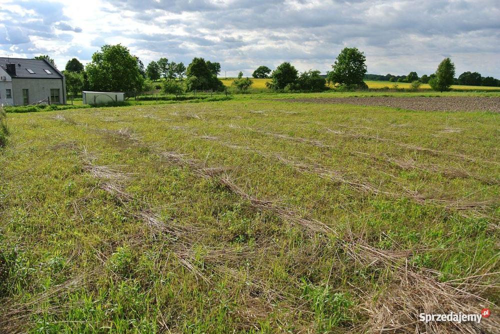 Działka Pierwoszów 1 690 m Pierwoszów sprzedam