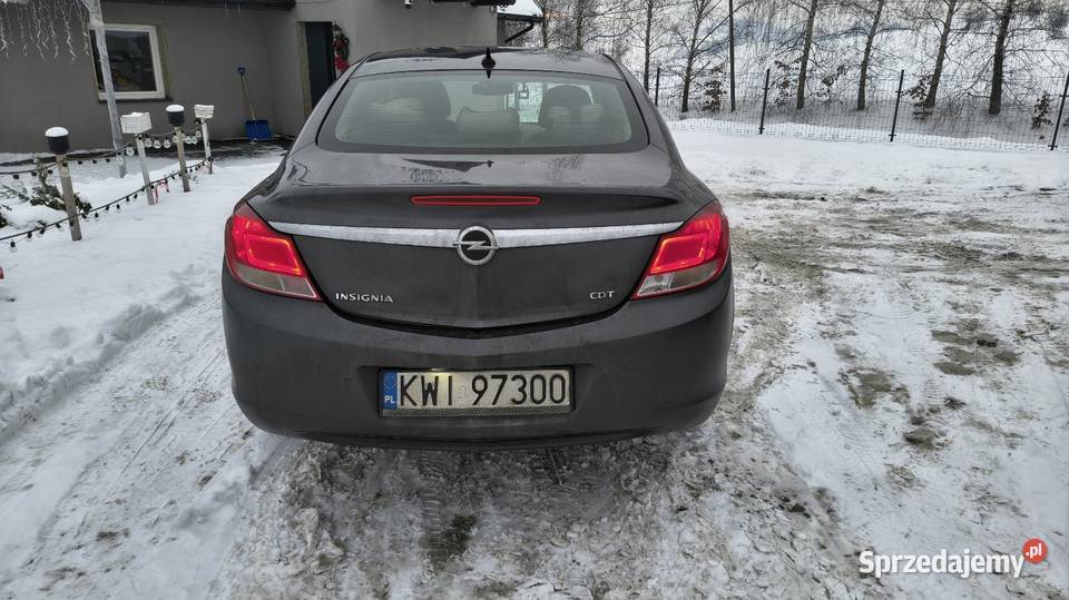Opel Insignia 20cdti 2009 nieuszkodzony Krakuszowice
