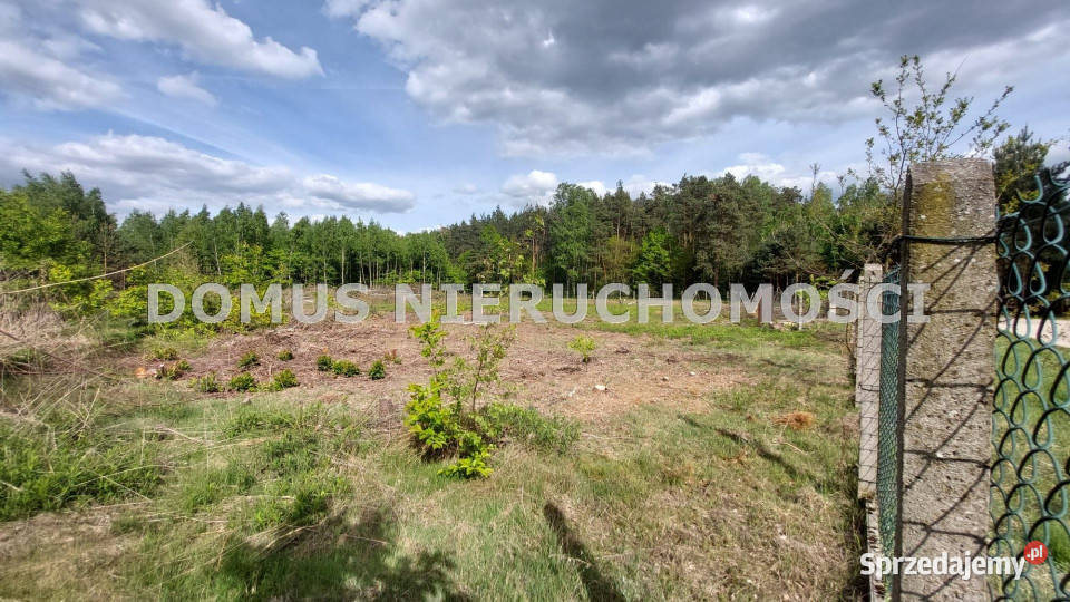 Grunt sprzedam 4504m2 Rosanów Poprzeczna