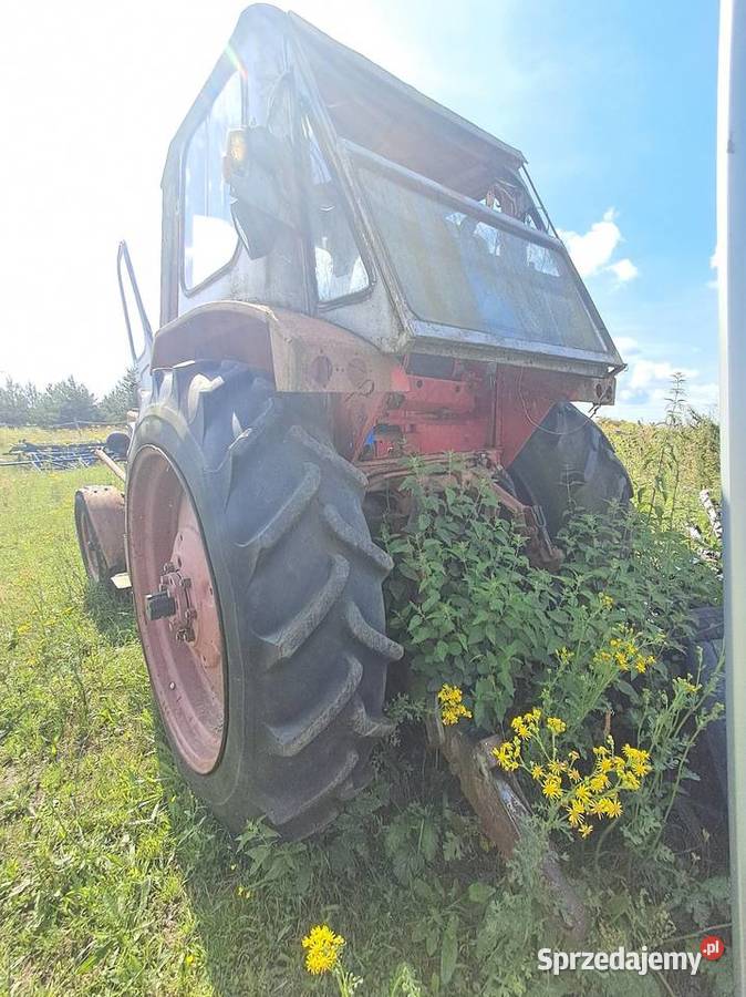 Białoruś jumz Zielona Góra