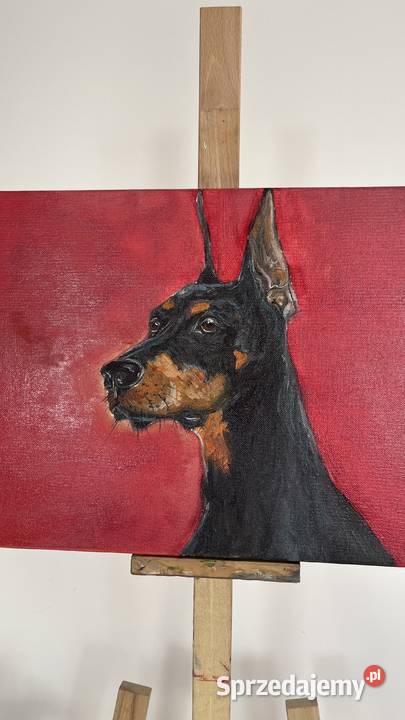 Obraz olejny Doberman 30x40 ręcznie malowany Świebodzin