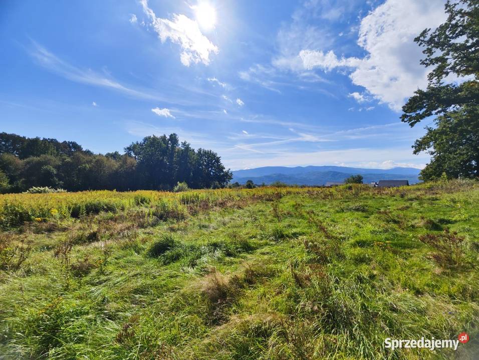 Działka z widokiem na Karkonosze TOP budowlana Wojcieszyce