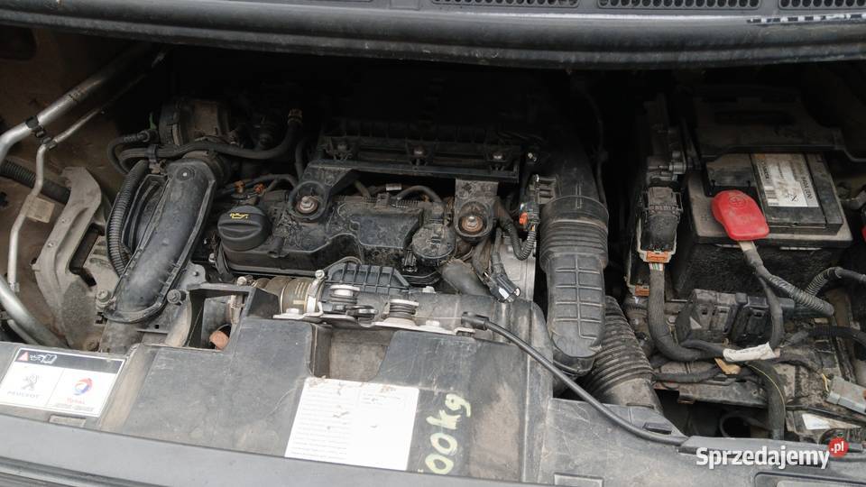 Peugeot expert 16D 2018r 68000 Expert Kowale