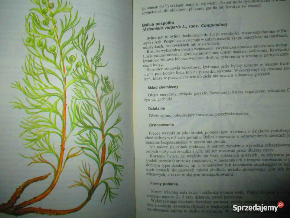Domowy poradnik medyczny Rośliny lecznicze zdrowie, pierwsza pomoc Łódź sprzedam