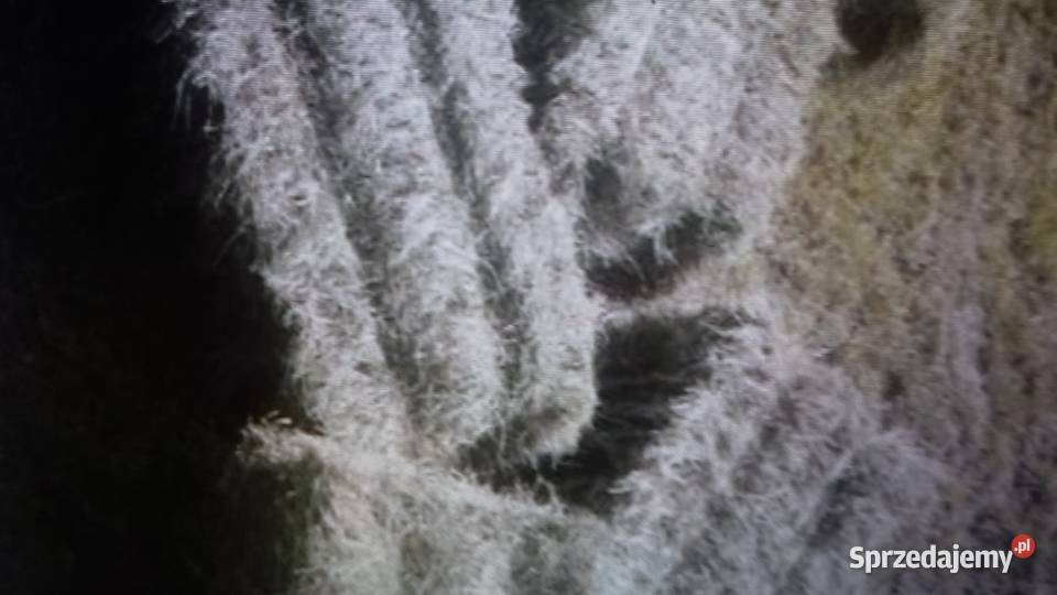 Sprzedam zaczep dolny c330 Części zamienne Młynary