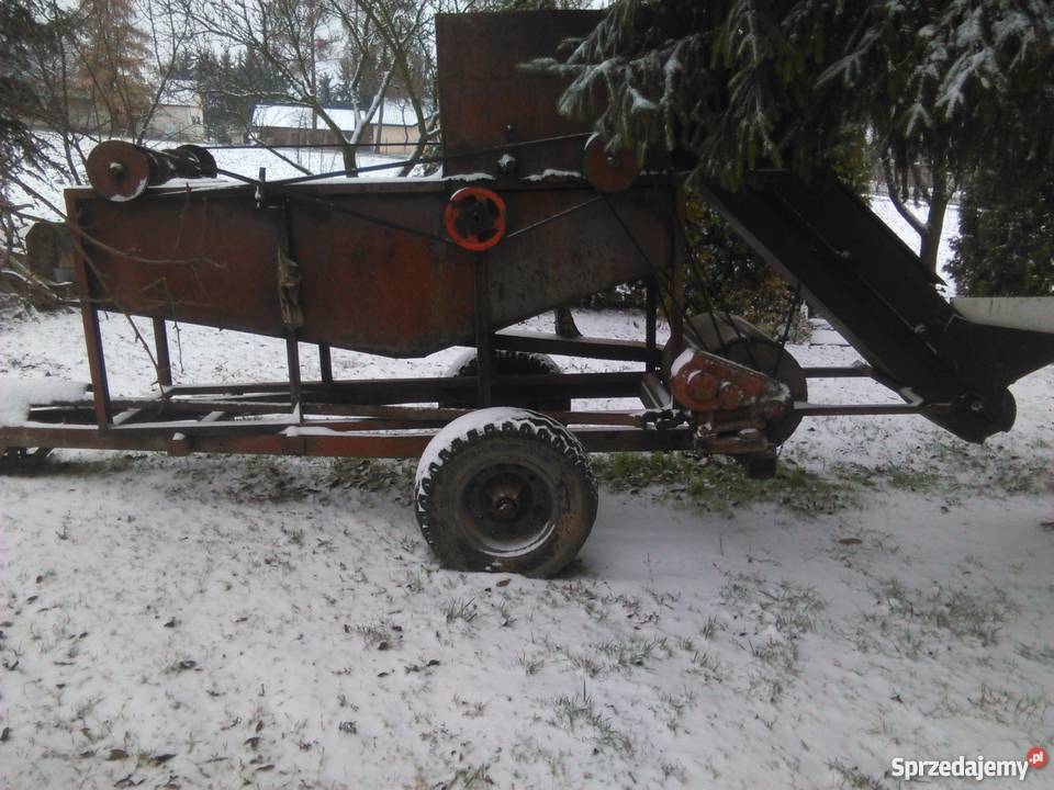 Ogórczarka Mołodiatycze