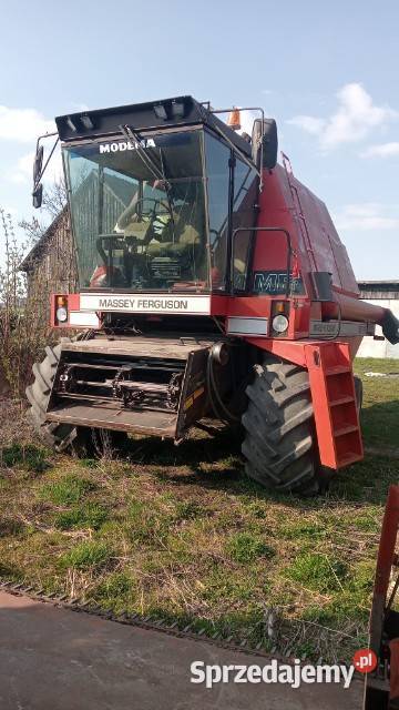 Kombajn zbożowy Massey Ferguson 29XP Zbożowe wielkopolskie Września