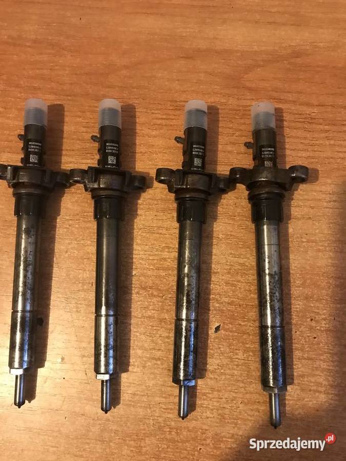 Wtryskiwacze 20 HDI Delphi Wtryskiwacze Kraków