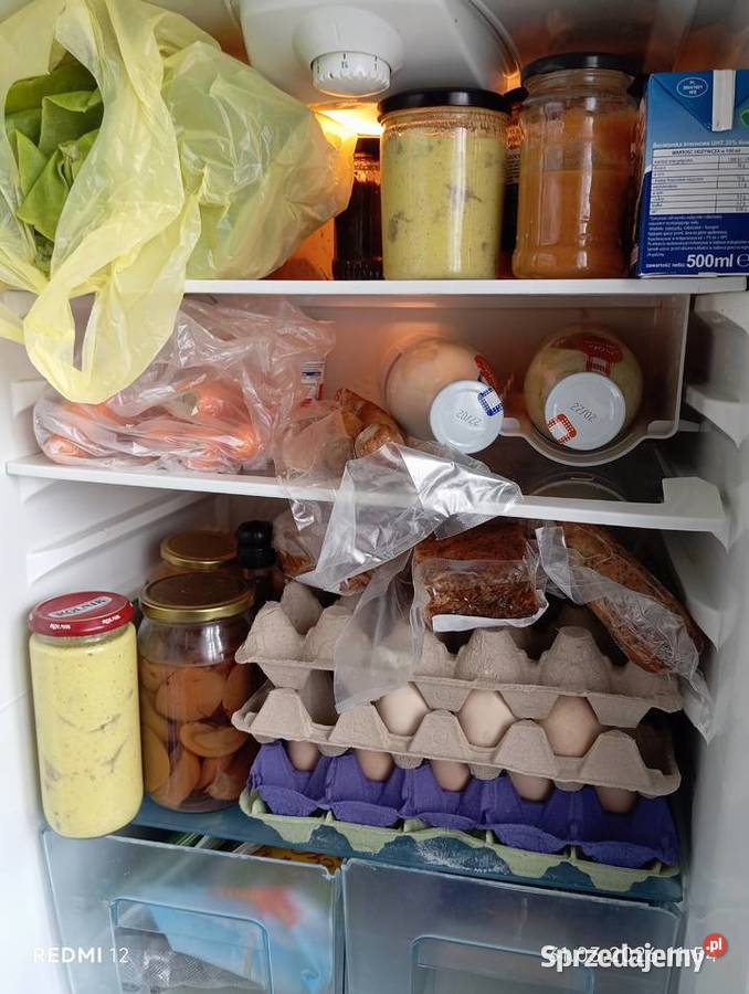 Lodówka Beko A Lodówki i zamrażarki Lodówki i zamrażarki Bytom