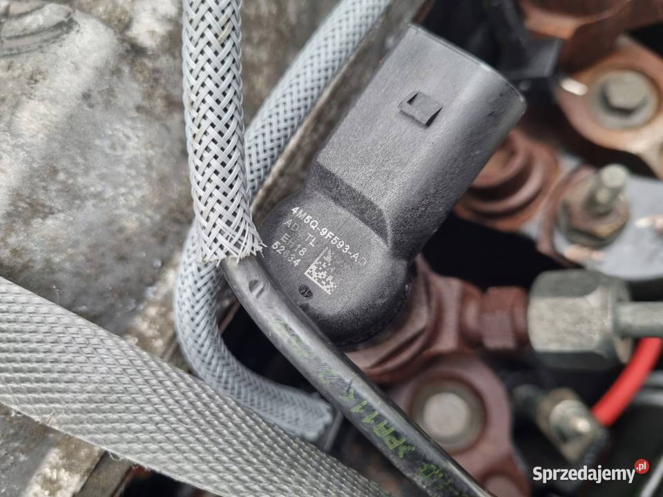 SILNIK BEZ OSPRZĘTU Ford C C 18 TDCI 115 ładnie Silniki kompletne Rudka sprzedam