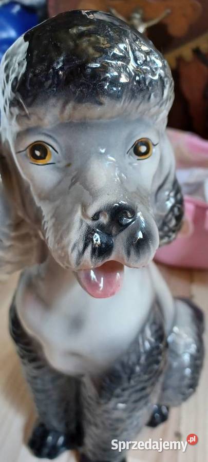 figura stara Pudla wysok 37 podstawa do ogona Figurki i rzeźby Poznań