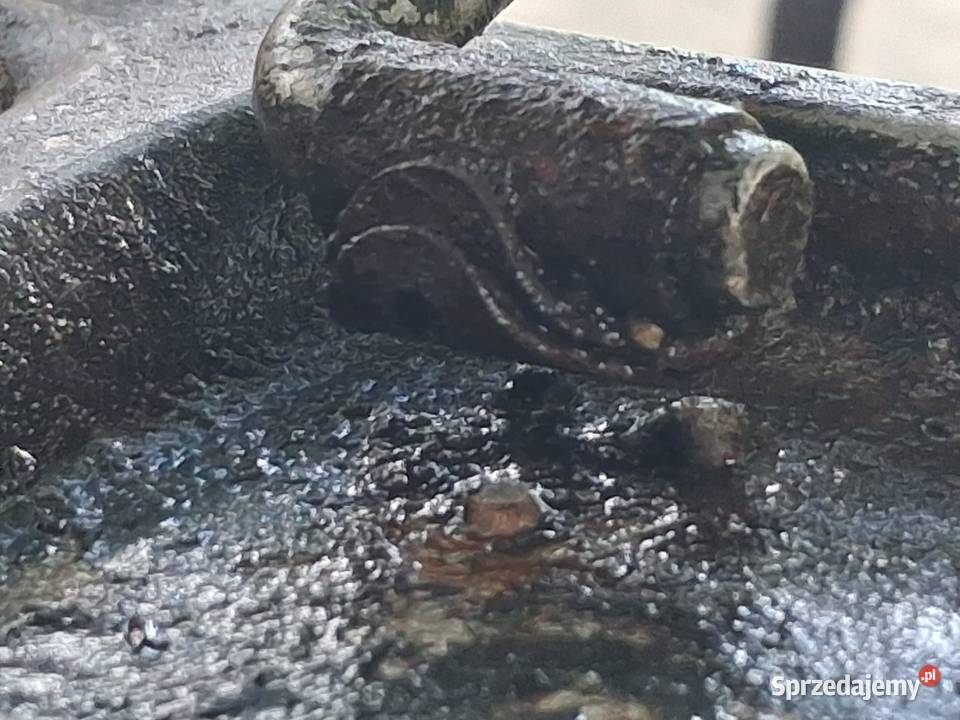 Skrzynkana amunicje z czasów ll wojny MG34 MG42 Szczawinek