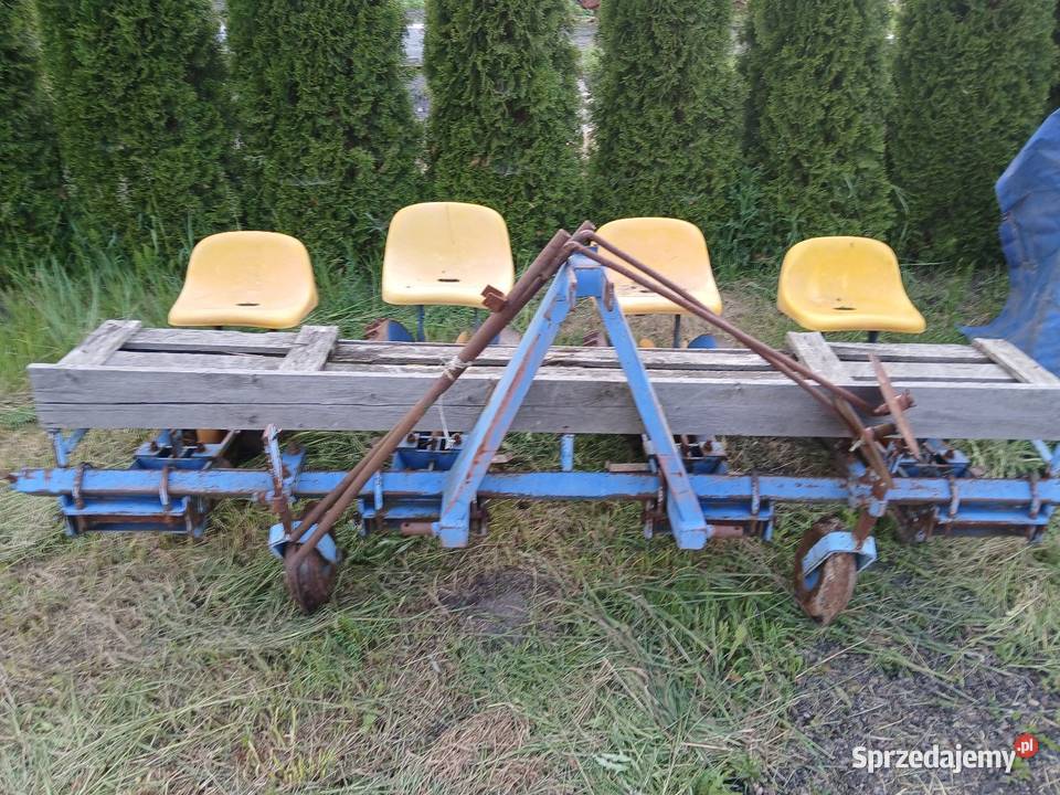 Sadzarka czterorzędowa Cyców