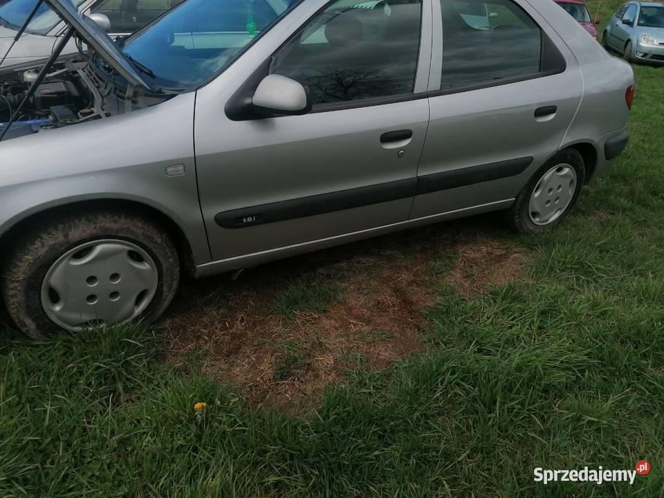 Citroen xara Xsara Bolków