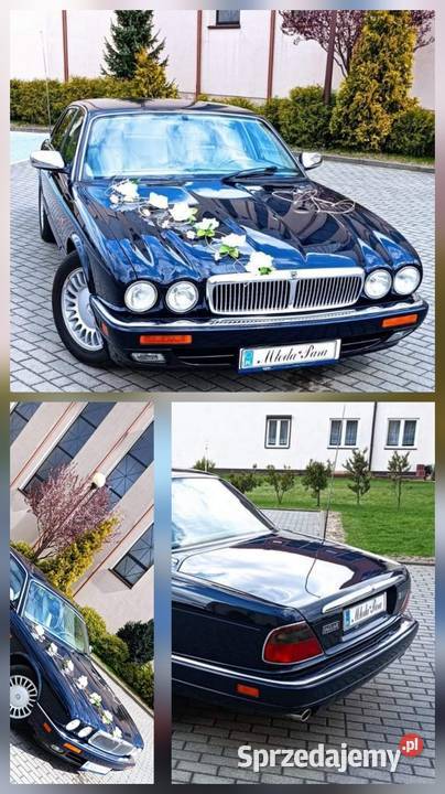 Jaguar XJ wynajem samochodu ślub Konin