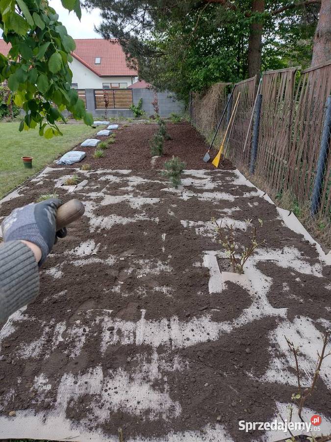 Ogród pielęgnacja budowa Komornica