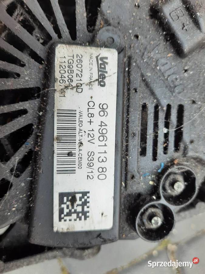 Altermator wielkopolskie