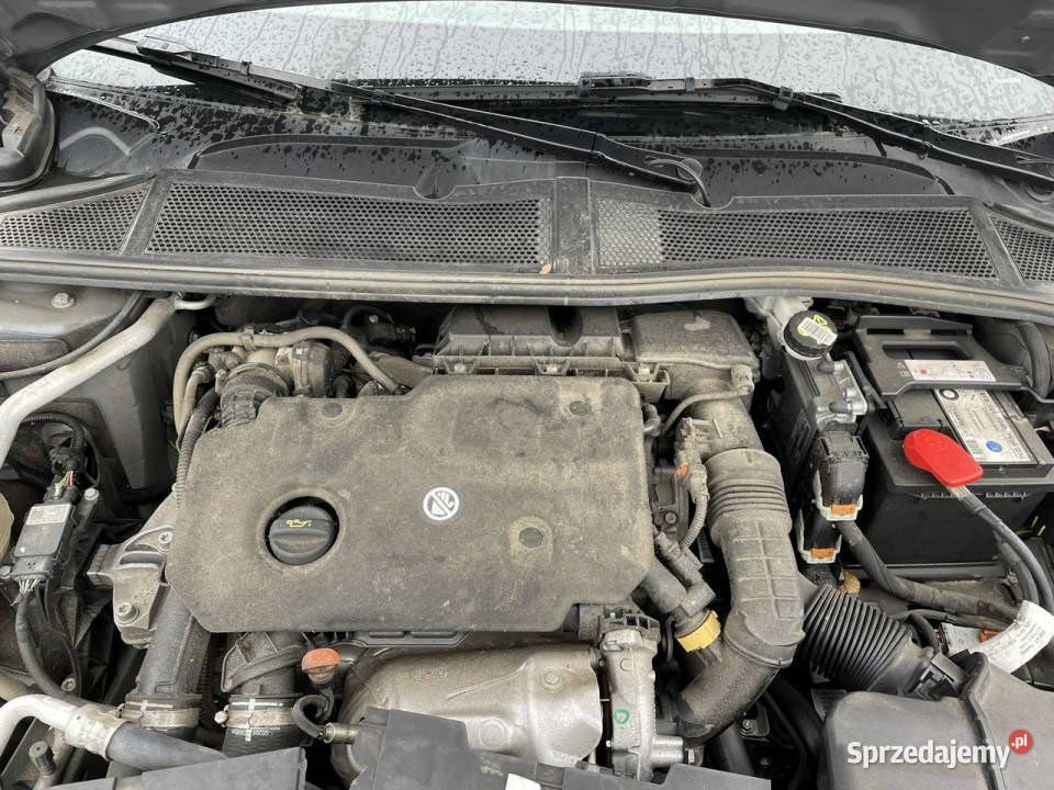 Peugeot 308 Peugeot 308 15131 BlueHDi Allure 1499cm3 Syców