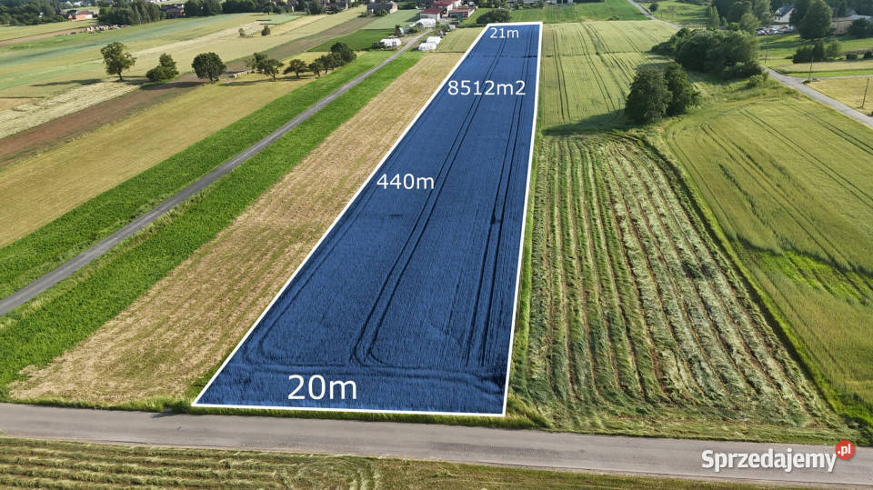 Działka rolna 8 512 m Sprzedaż Żelisławice sprzedam