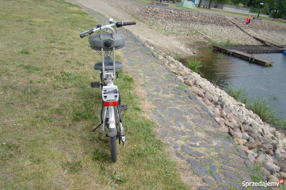 GIANT Revive wielkopolskie