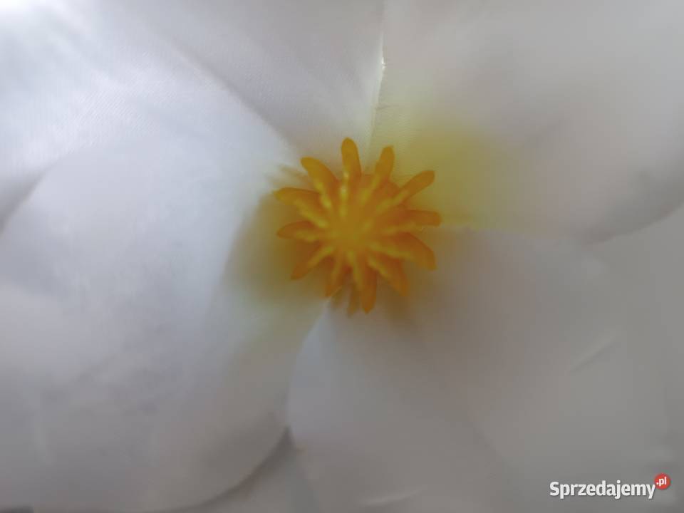 MAGNOLIA MINI VIP 61021 główki wyrobowe białe