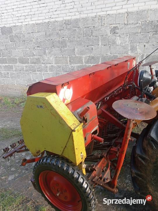 Siewnik poznaniak Czyżew