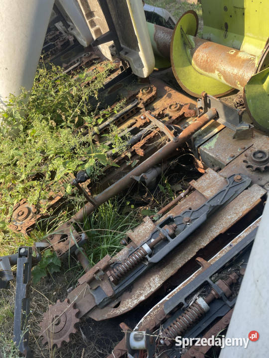 Claas Conspeed 875 FC przystawka do kukurydzy Jastrzębniki