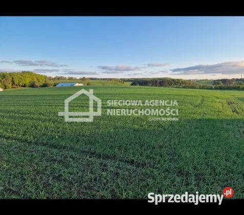 sprzedaży gruntu Kobysewo 1000 metrów