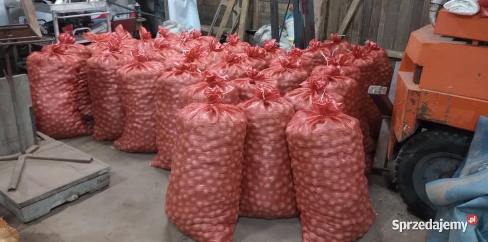 Ziemniak jadalny drobny odpad Karsin