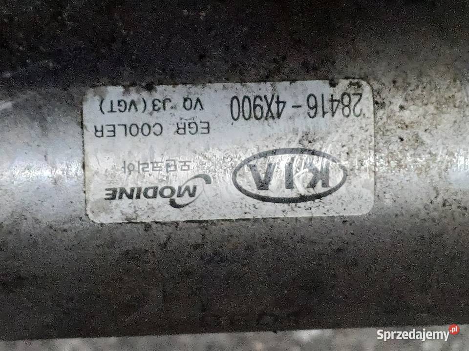 Kia Carnival 29 crdi egr