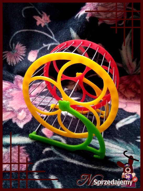 Nowy kołowrotek chomika karłowatego 13 czerwony Ruda Śląska