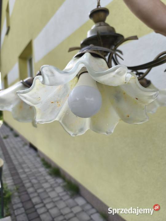 Żyrandol Tulipan 5x Lampa wisząca MADE IN POLAND Dębica