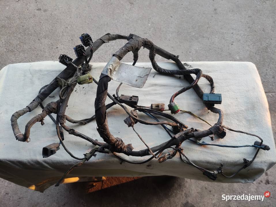 Wiązka Instalacja Elektryczna Wentylatorów Lamp podkarpackie Olchowa